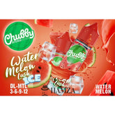 Chubby Watermelon Lush Ice - Egyptian Liquid